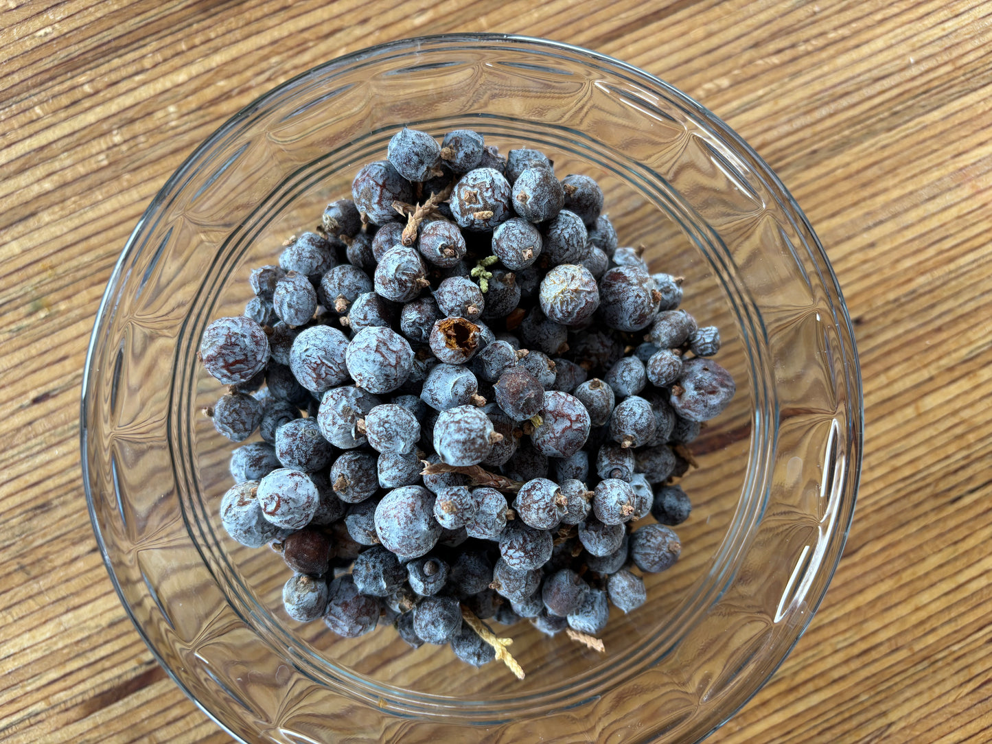 Utah Juniper Berries- Make your own Sourdough Start