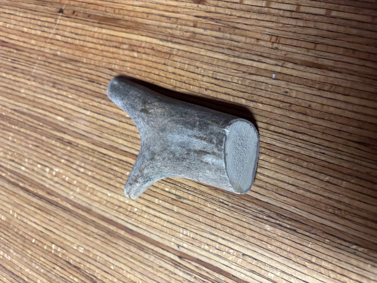 Rocky Mountain Elk Antler Dog Chew